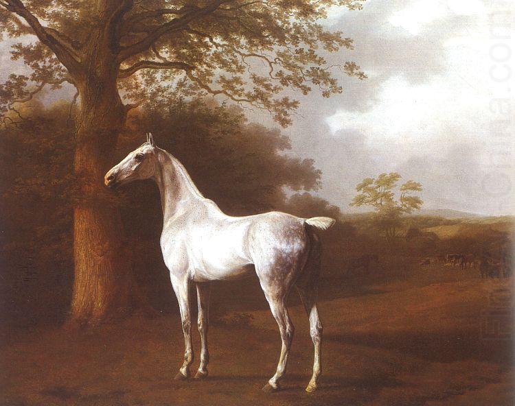 White Horse in Pasture, Jacques-Laurent Agasse